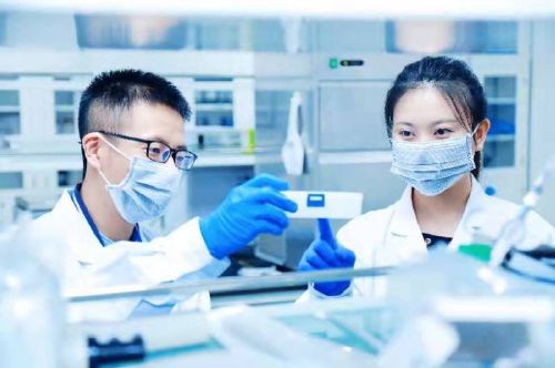 花呗晚还2天对征信有无影响