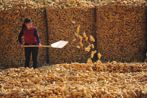 七天通知存款必须只能是提前七天取吗