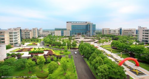 国际信用卡visa和master哪个好