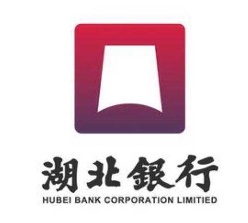 向银行申请提高转账额度情况说明范文