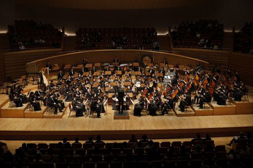 电子发票代码和发票号码分别在哪个位置