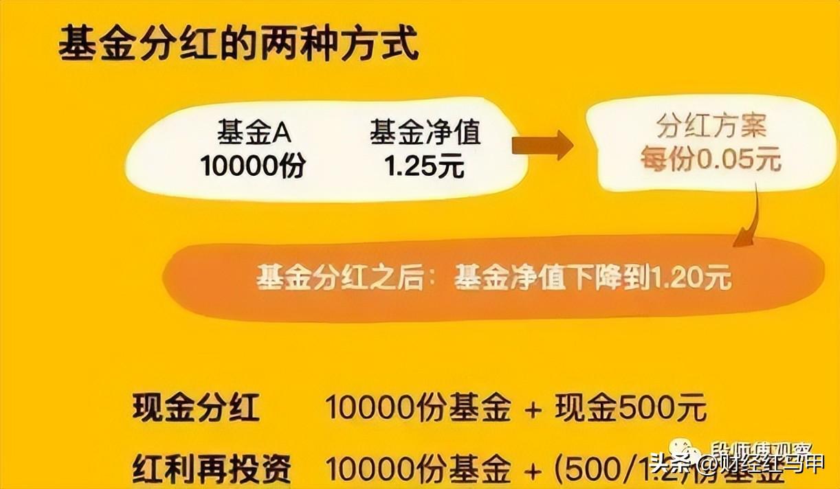 基金分红再投怎么操作