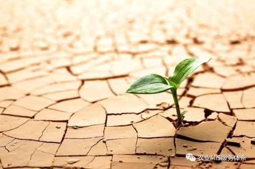 中国邮政集团有限公司山东栖霞市连家庄支行 行号