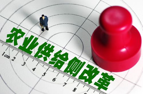 保险交了5年不想交了怎么退保损失最小