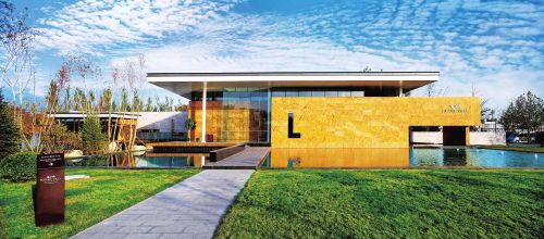 农行企业网银对私转账限额怎么设置的