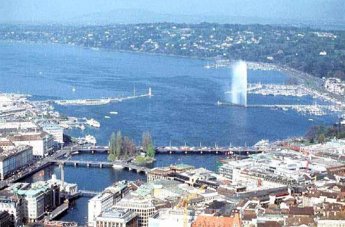 在招商证券app中如何查询交易手续费明细